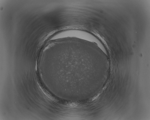 X0000084560062200703091756