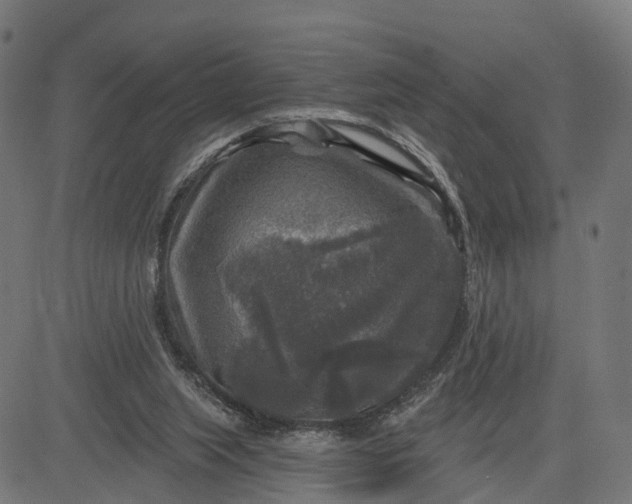 X0000084560063200703091756