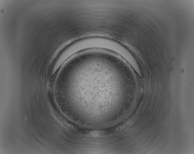 X0000084560064200703091756