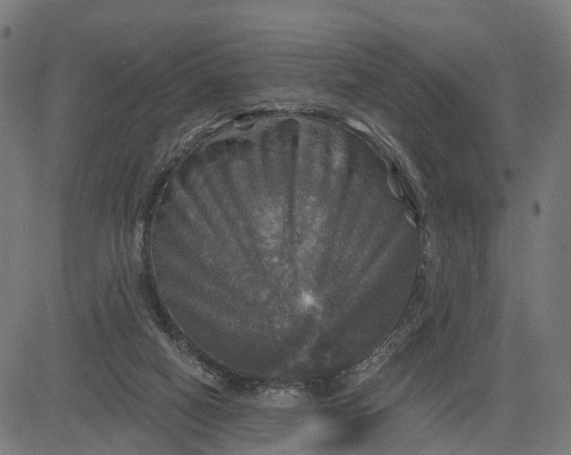 X0000084560066200703091756