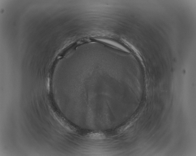 X0000084560067200703091756