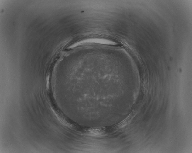 X0000084560070200703091756