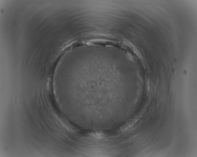 X0000084560071200703091756