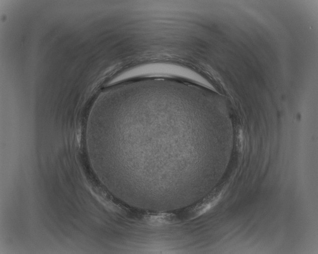 X0000084560072200703091756