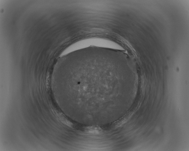 X0000084560073200703091756