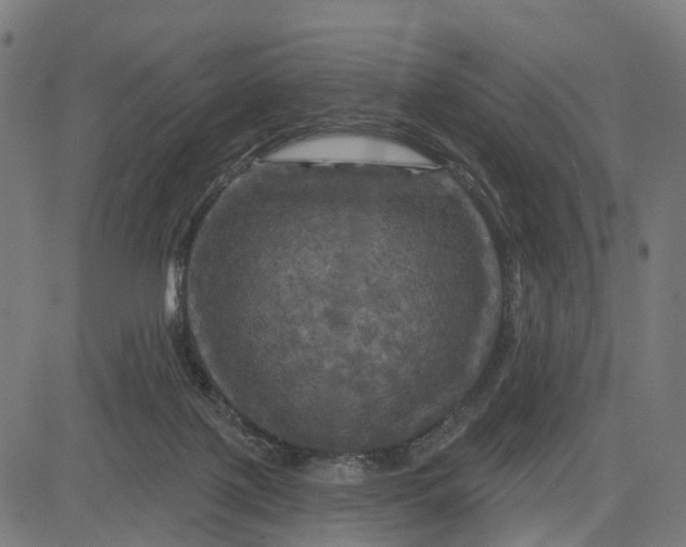 X0000084560075200703091756