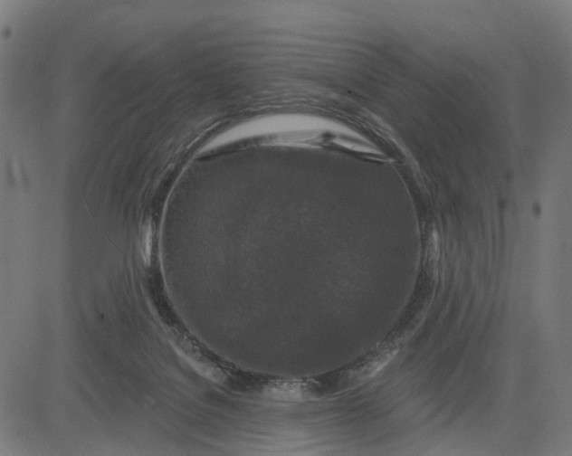 X0000084560076200703091756