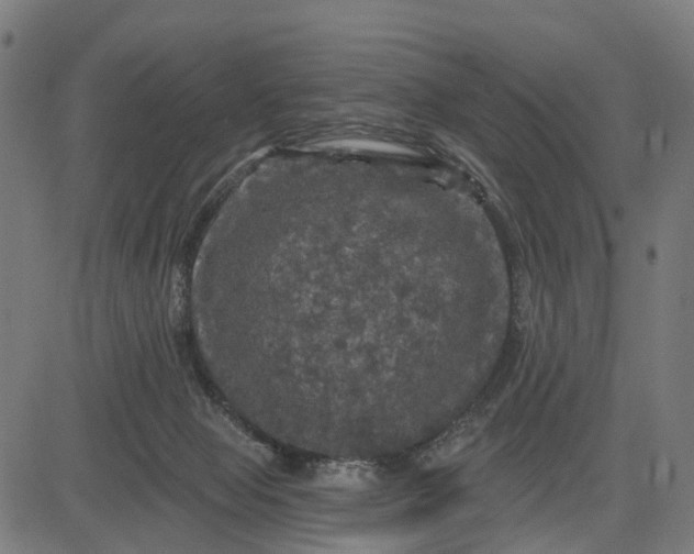 X0000084560077200703091756