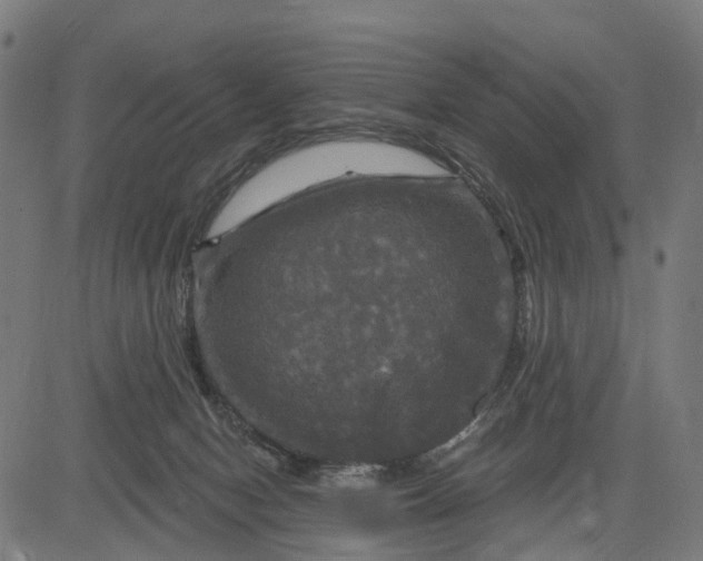 X0000084560078200703091756