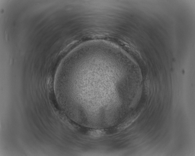 X0000084560079200703091756