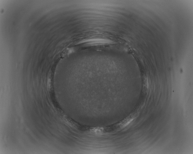 X0000084560080200703091756