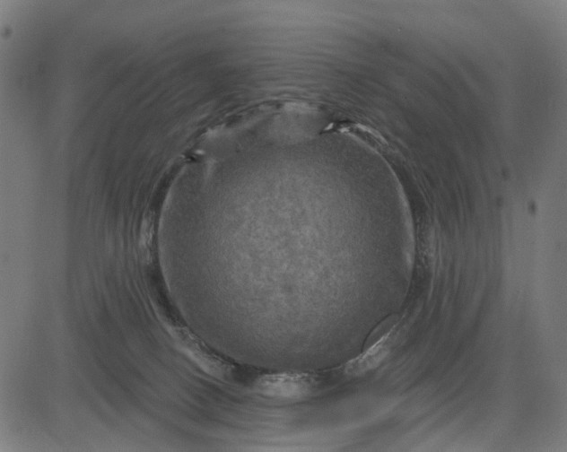 X0000084560082200703091756