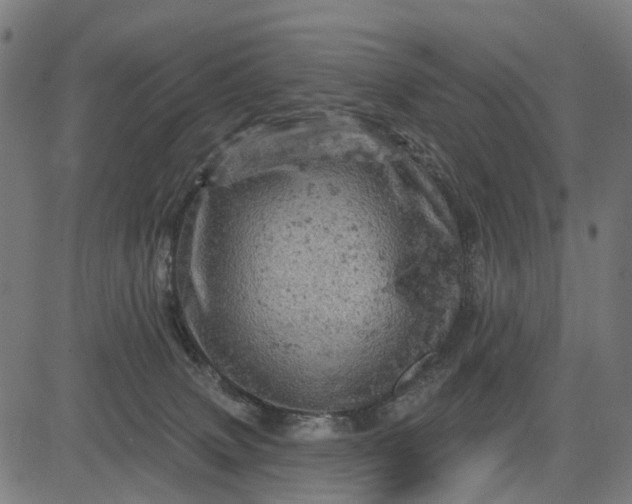 X0000084560083200703091756