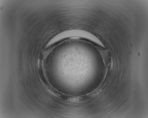 X0000084560084200703091756