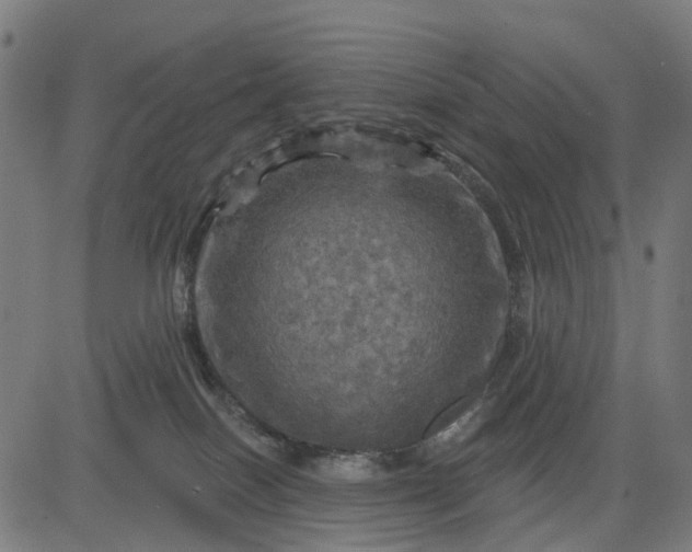 X0000084560086200703091756