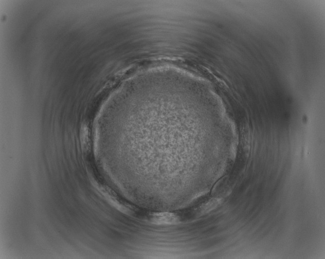 X0000084560087200703091756