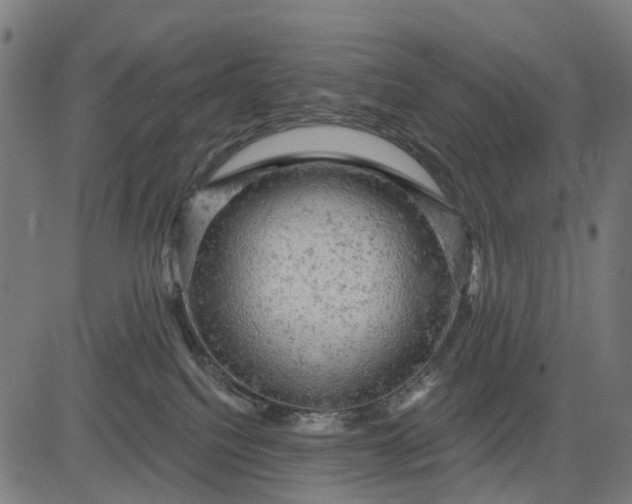 X0000084560088200703091756