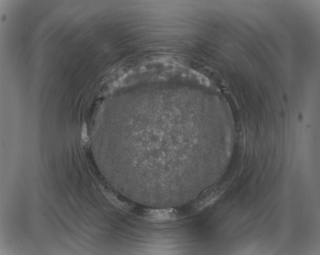 X0000084560089200703091756