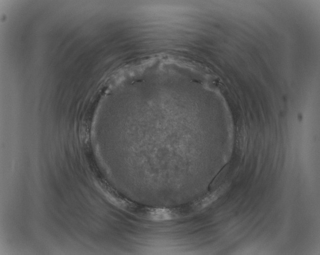 X0000084560091200703091756