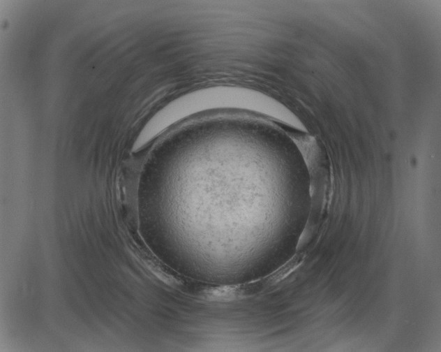 X0000084560092200703091756