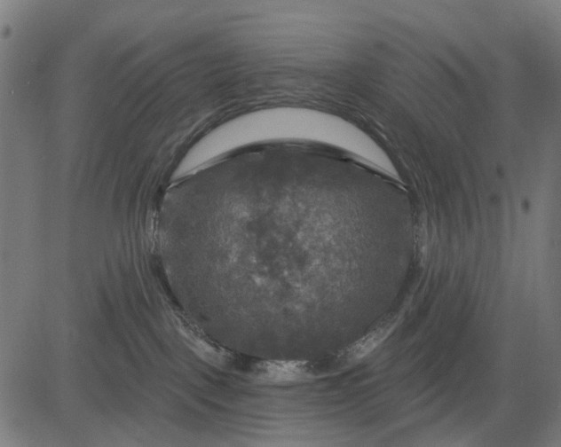 X0000084560093200703091756