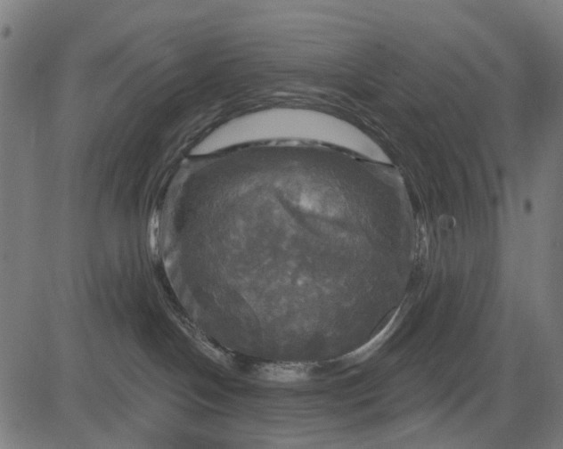 X0000084560094200703091756