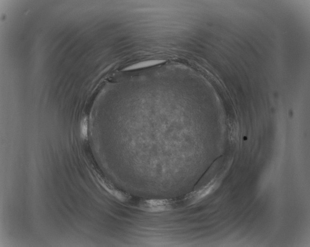 X0000084560095200703091756