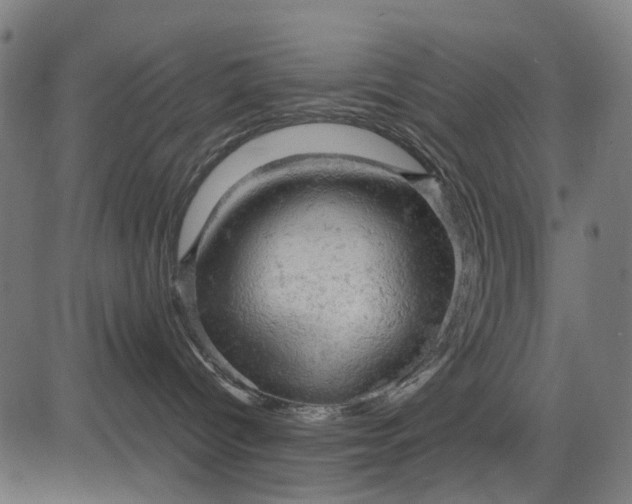 X0000084560096200703091756