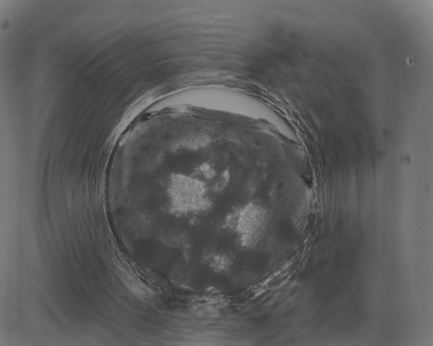 X0000084560099200703091755