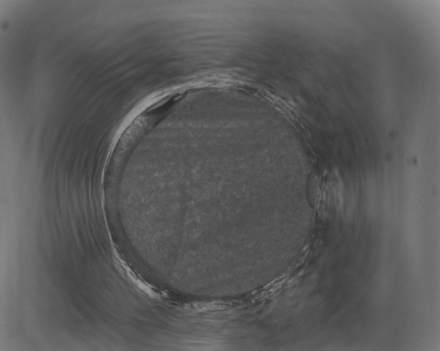 X0000084560100200703091755