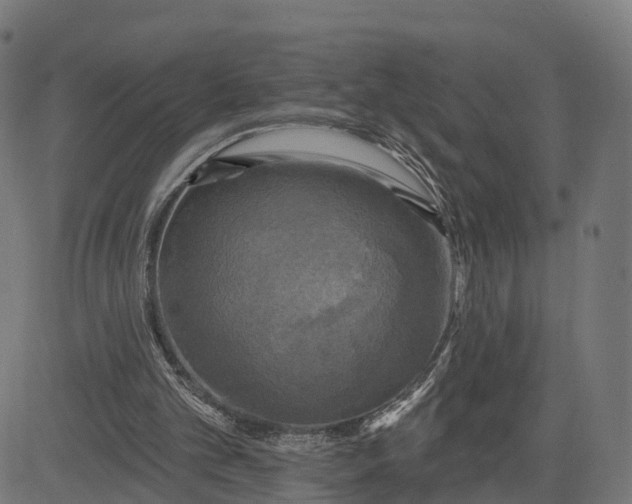 X0000084560101200703091755