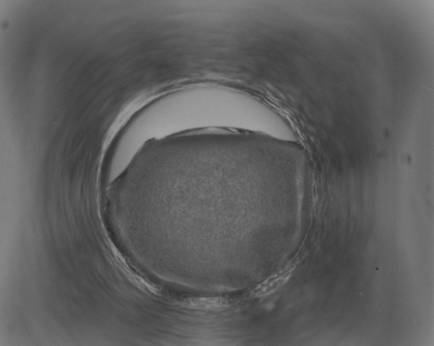 X0000084560102200703091755