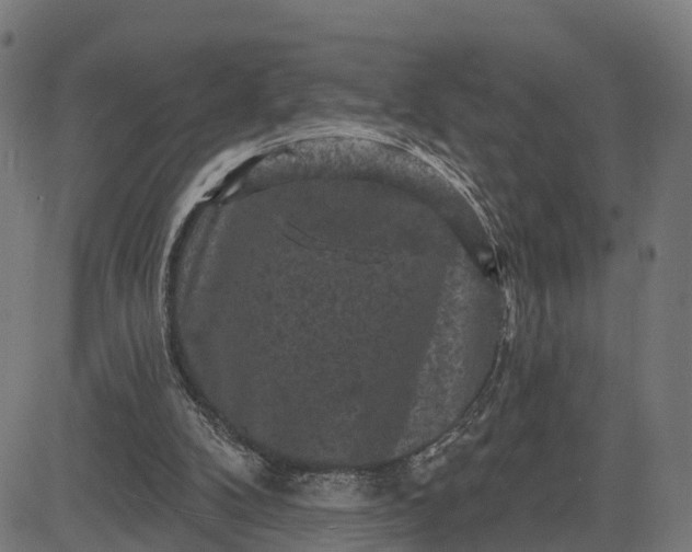 X0000084560104200703091755