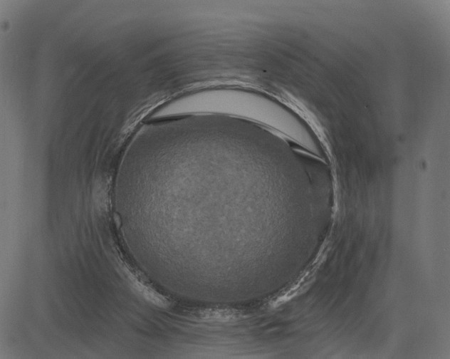 X0000084560105200703091755