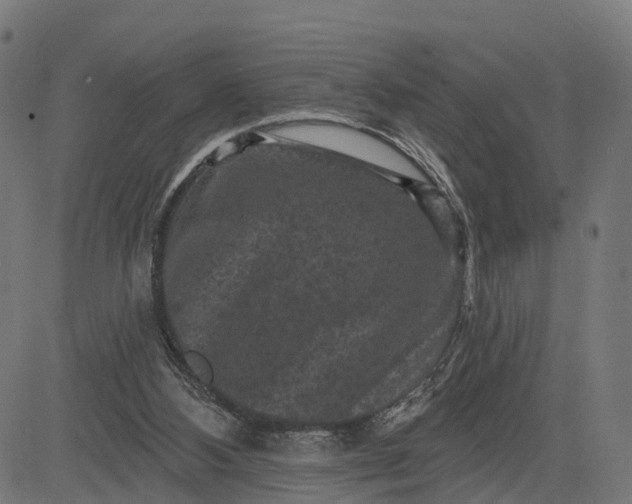 X0000084560108200703091755