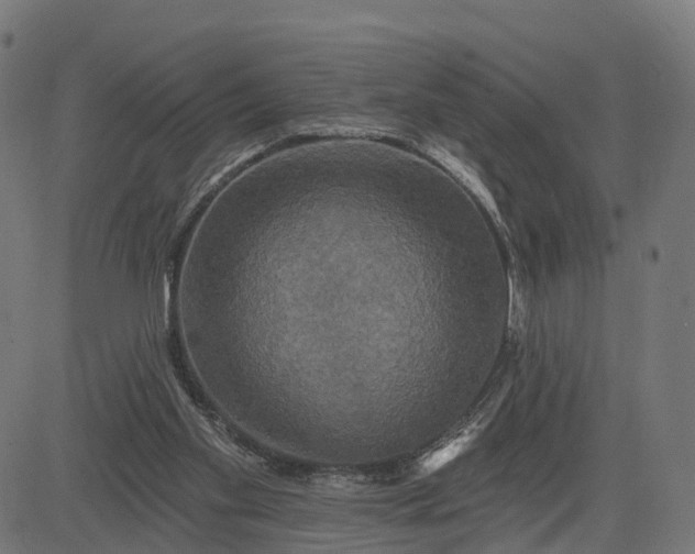 X0000084560109200703091755