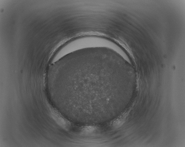 X0000084560111200703091755