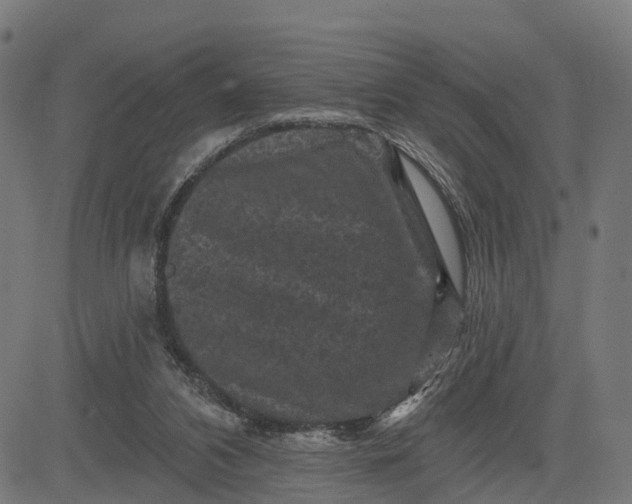 X0000084560112200703091755