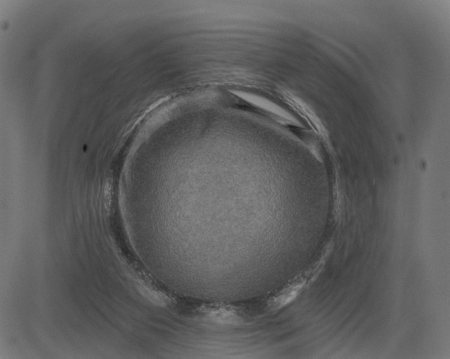 X0000084560113200703091755