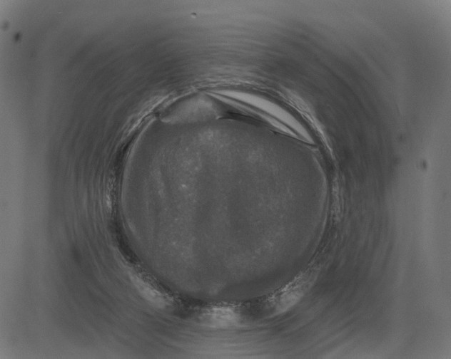 X0000084560114200703091755