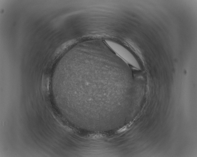 X0000084560115200703091755