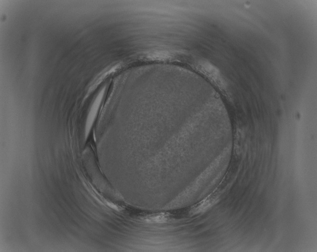 X0000084560116200703091755