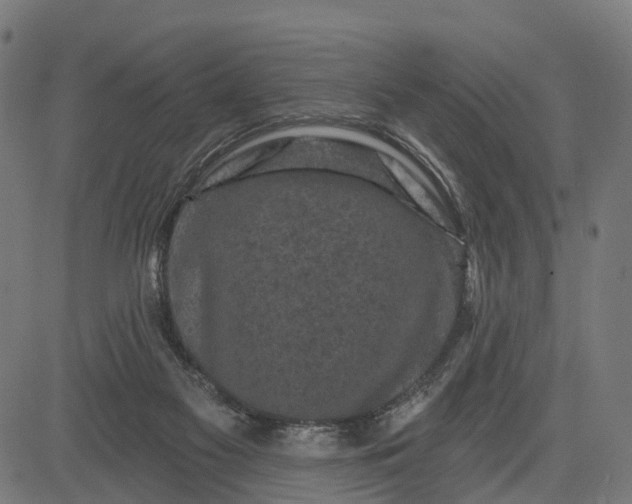 X0000084560117200703091755