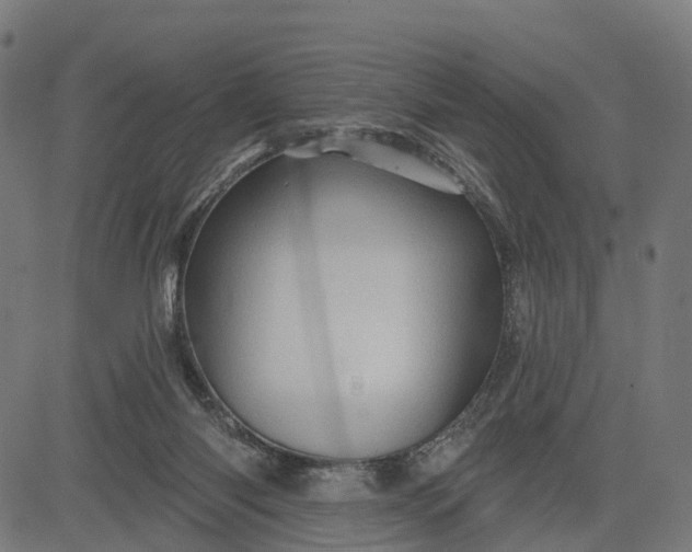 X0000084560118200703091755