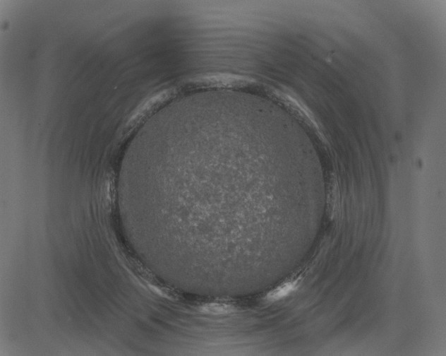 X0000084560119200703091755