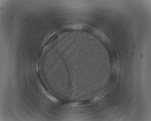 X0000084560120200703091755