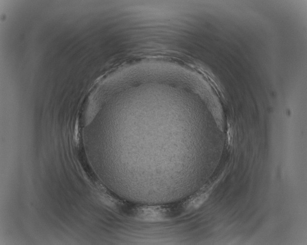 X0000084560121200703091755