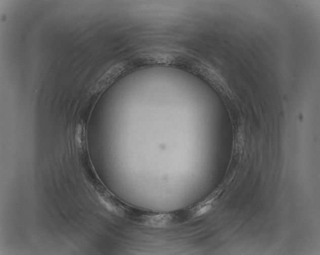 X0000084560122200703091755