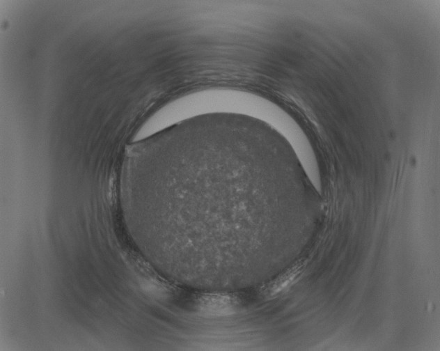 X0000084560123200703091755