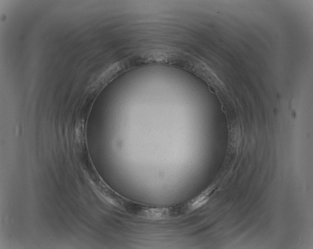 X0000084560126200703091755